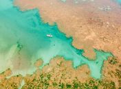 Projeto Corais de Alagoas avança no litoral do Estado