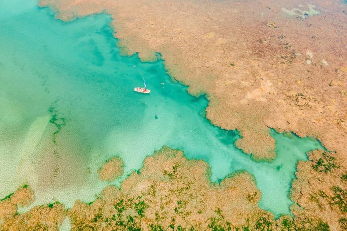 Projeto Corais de Alagoas avança no litoral do Estado