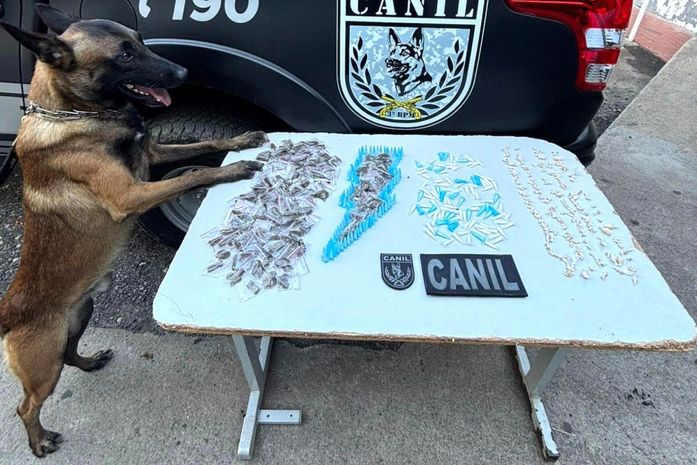 Com ajuda de cão farejador, PM apreende 203 bombinhas de maconha, 208 pinos de cocaína e 188 pedras de crack