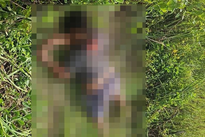 Mulher é encontrada morta com sinais de espancamento em área de mata em Rio Largo