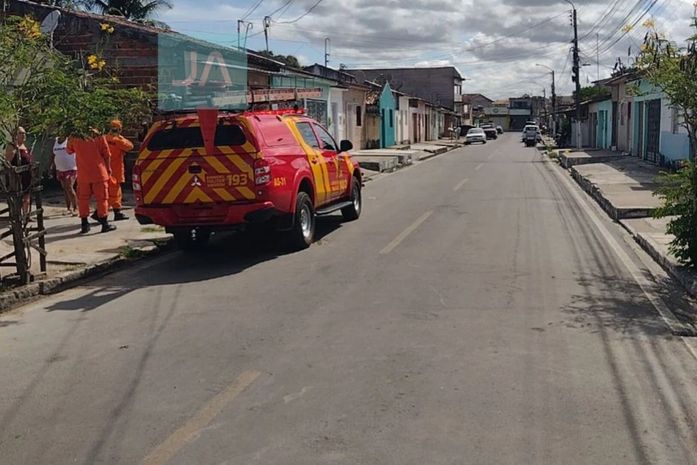 Ataque de abelhas deixa um saldo de três cachorros mortos e três pessoas feridas em Arapiraca