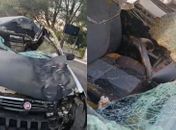 Colisão entre carro e cavalo deixa homem ferido na Cidade Universitária, em Maceió