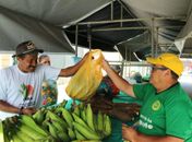 Feira da Agricultura Familiar tem mais uma edição em Santana do Mundaú