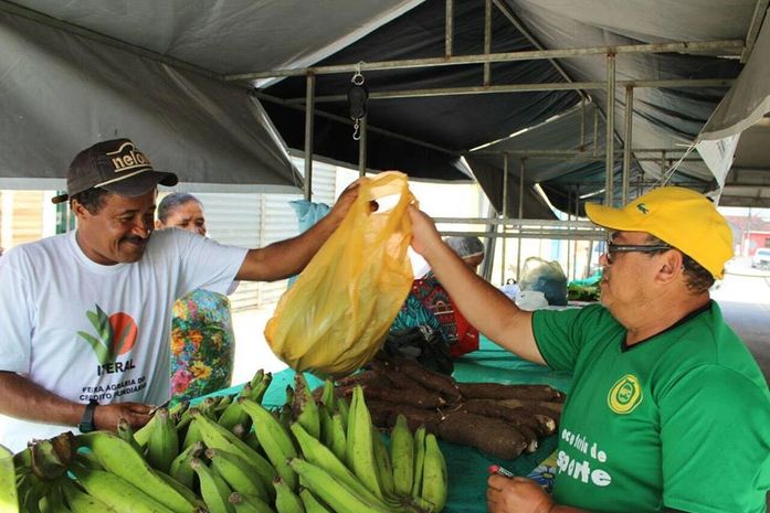 Feira da Agricultura Familiar tem mais uma edição em Santana do Mundaú