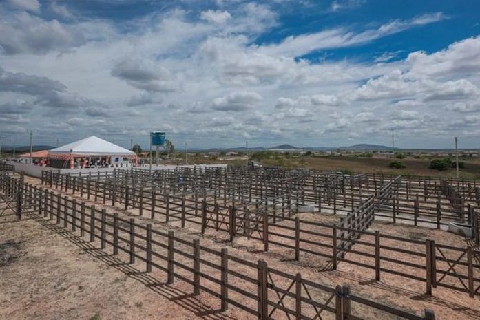 Feira do Gado em Dois Riachos volta a funcionar nesta terça (13), após meses de suspensão