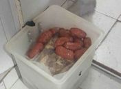 Visa Maceió apreende 90 quilos de carne bovina, charque e linguiça estragados em supermercados e frigoríficos da capital
