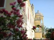 Museu Théo Brandão.