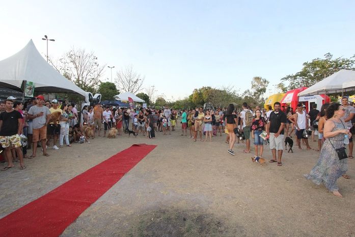 Ações do #Vemprobosque reúnem centenas de pessoas para mais um dia de lazer e conscientização