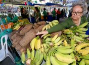 Feira agroecológica desta quarta (24) terá sorteio de mudas e vale-compras
