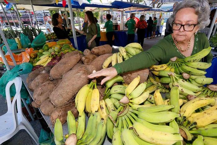 Feira agroecológica desta quarta (24) terá sorteio de mudas e vale-compras