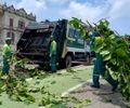 Alurb realiza vistorias e podas em árvores na Praia da Avenida
