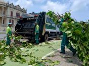 Alurb realiza vistorias e podas em árvores na Praia da Avenida