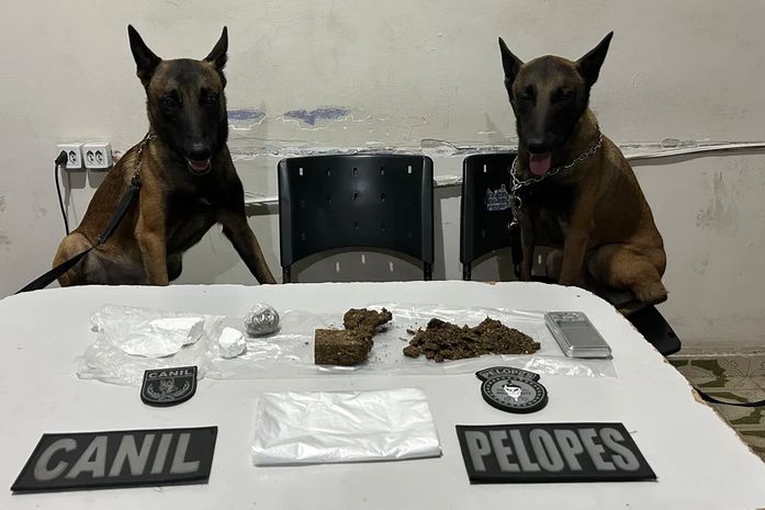 Mulher é presa com mais de 200g de drogas em pousada próxima ao presídio do Agreste