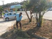 Prefeitura de Maragogi inicia revitalização da praça dos bois