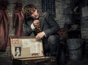 Pode comemorar! Próximo “Animais Fantásticos” vai se passar no Rio de Janeiro