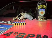 PM apreende arma, drogas e recupera veículo roubado