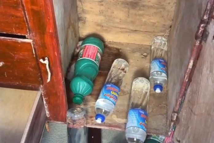 Caso Ana Beatriz: mãe confessou ter matado filha recém-nascida “sufocada com travesseiro”, diz polícia