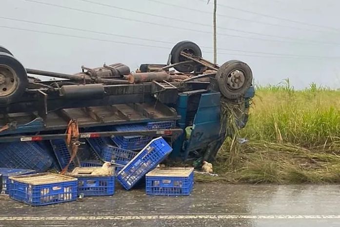 Caminhão que transportava galinhas capota em trecho da AL-110, em Arapiraca