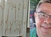  José Roberto Portela