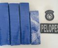 Casal é preso com 4 kg de maconha escondidos em garagem no interior de Alagoas