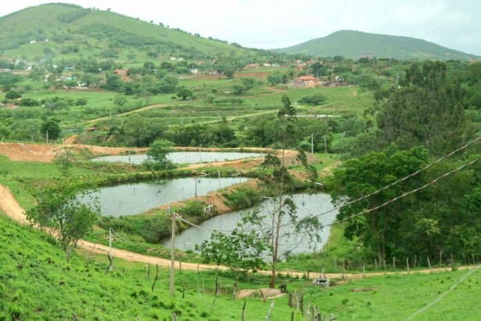 Fiscalização autua fazenda de cultivo de camarões em Igaci por irregularidades no licenciamento