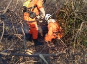 Governador da Bahia decreta emergência em 73 municípios por incêndios