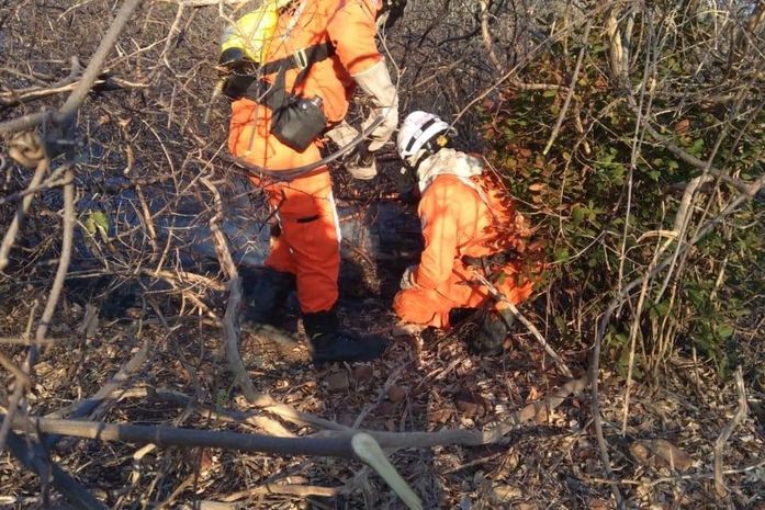 Governador da Bahia decreta emergência em 73 municípios por incêndios