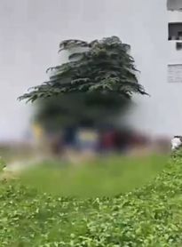 PC divulga vídeo da prisão de casal acusado de homicídio na Pajuçara