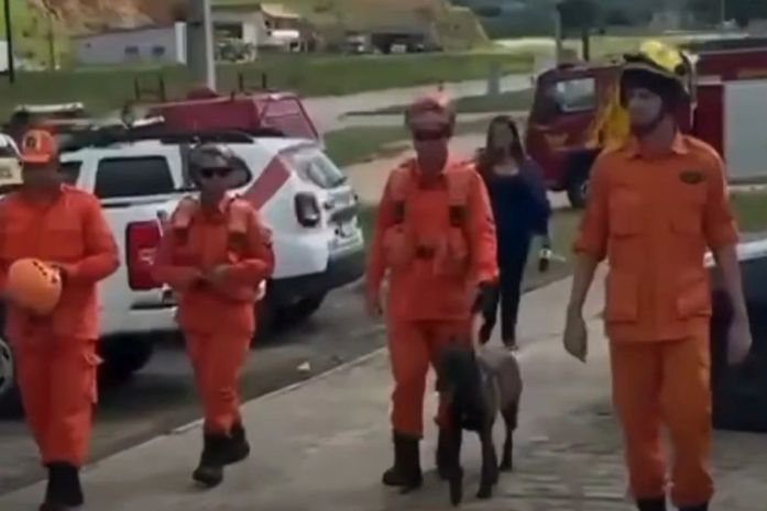 Cães farejadores são utilizados em operação conjunta de buscas por bebê desaparecida em Novo Lino
