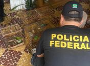 PF investiga desvio de aves ameaçadas de extinção em zoológico de Rio Largo