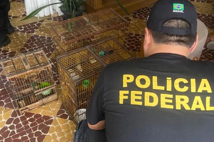 PF investiga desvio de aves ameaçadas de extinção em zoológico de Rio Largo