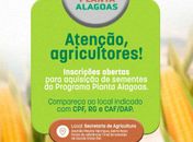 Agricultores delmirenses já podem fazer o pedido de sementes do programa Planta Alagoas
