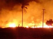 Incêndio atinge vegetação próximo à área urbana em União dos Palmares