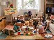 Férias escolares: 6 cuidados para evitar estresse em cães e gatos durante o período, orienta especialista