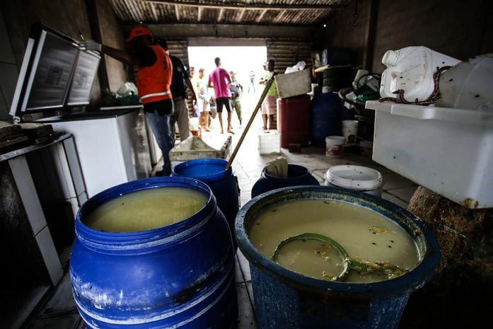 Queijaria estava em total desconformidade com as normas sanitárias exigidas.