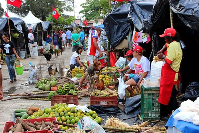 Por que o MST não vende os produtos da Feira da Reforma Agrária, no sistema de delivery, hein, Debora Nunes?