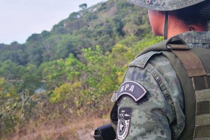 Durante operação 60 aves silvestres são apreendidas em feiras livres