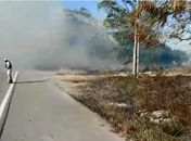 Incêndio em mata às margens da AL-101 deixa via coberta por fumaça; Bombeiros e BPRv foram acionados
