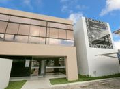 Jovens entre 18 e 39 anos representam 60% dos casos de violência atendidos em Maceió