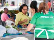 Feira agroecológica do TJAL leva produtos orgânicos à população
