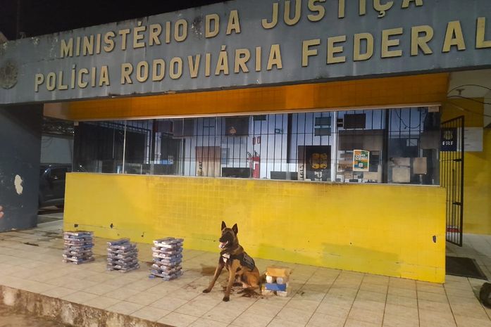 Com cão farejador, policiais apreendem mais de 50kg de drogas dentro caminhão na BR-101