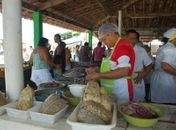 Vendedor assegura que balança funciona normalmente