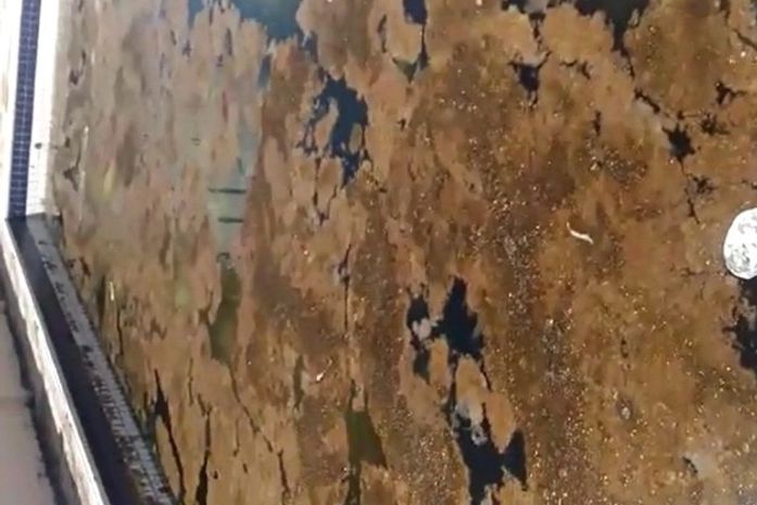 vídeo mostra situação de piscina em escola para crianças especiais