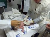 Bebê nasce durante exame pré-natal