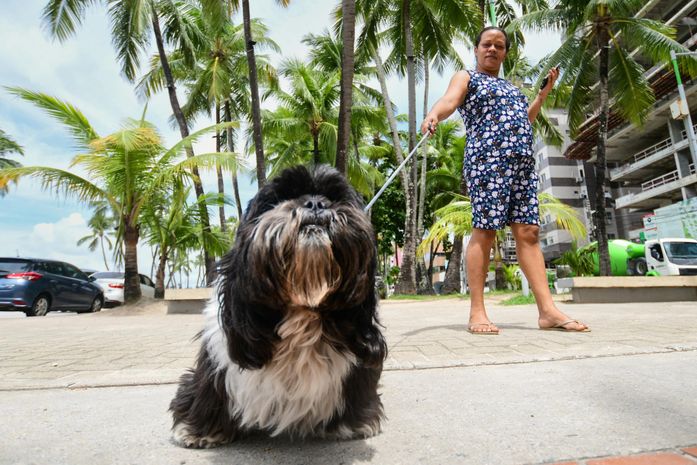 Sesau alerta sobre a importância da vigilância e controle de doenças transmitidas entre animais e seres humanos