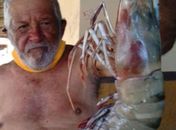 Não é história de pescador: camarão "gigante" de 400g e 50cm é capturado no RN