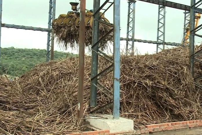 Safra 24/25: Alagoas tem todas as usinas em operação