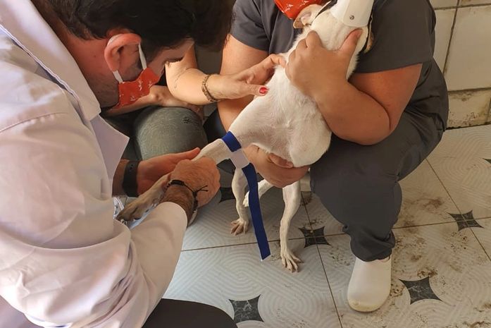 Complexo Tarcizo Freire realiza ação de controle e prevenção a Leishmaniose