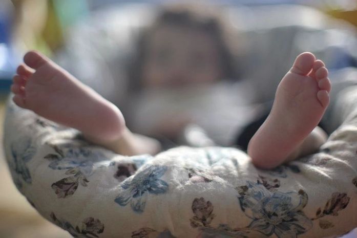 Tuitaço e lives marcam campanha no Dia Nacional da Adoção