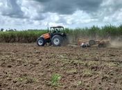 São Miguel dos Campos disponibiliza assistência técnica para o pequeno produtor